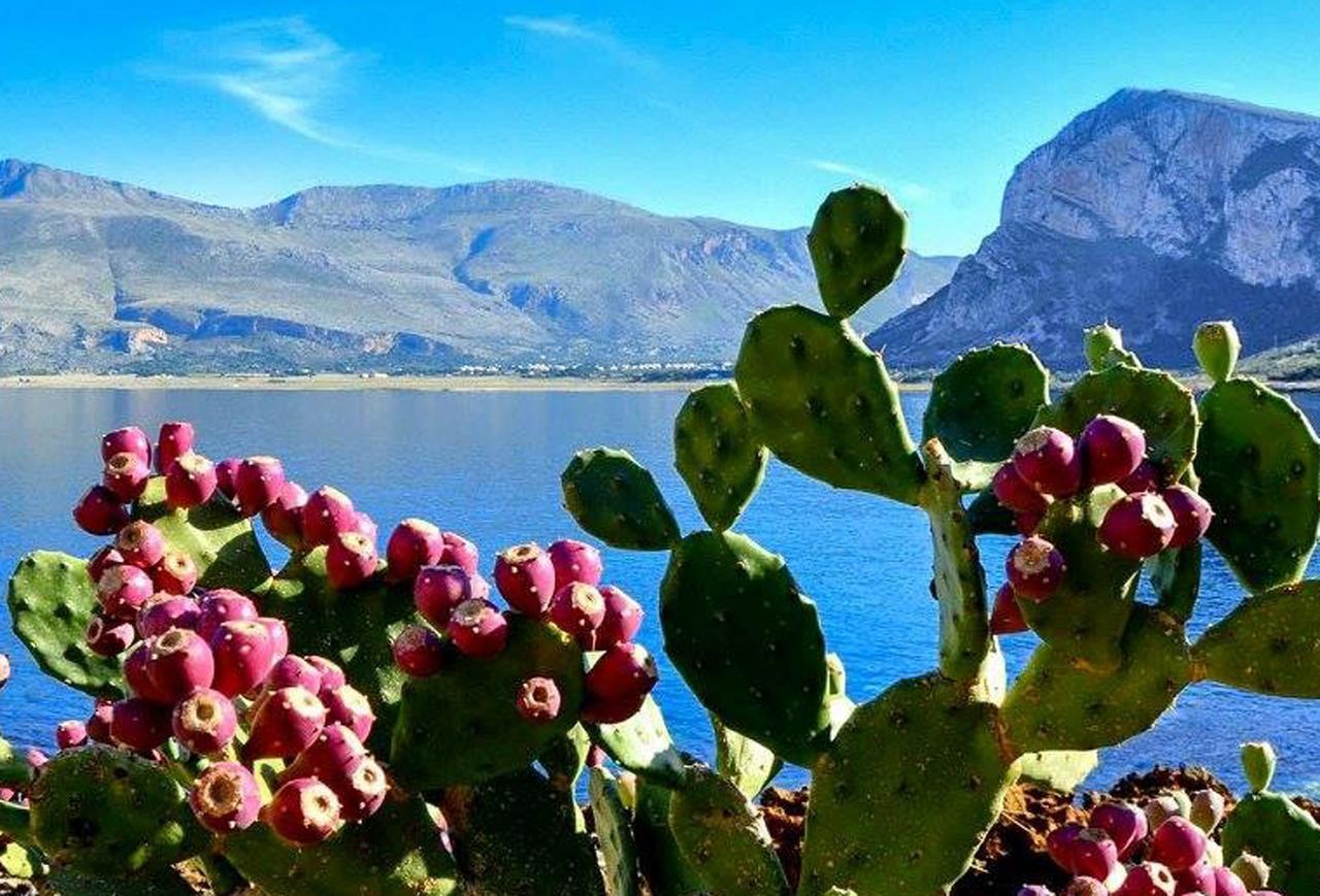 تراباني Bed And Breakfast Sapore Di Sale المظهر الخارجي الصورة